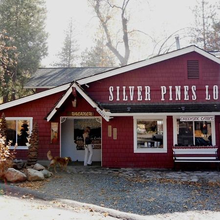 Silver Pines Lodge Idyllwild Exterior foto
