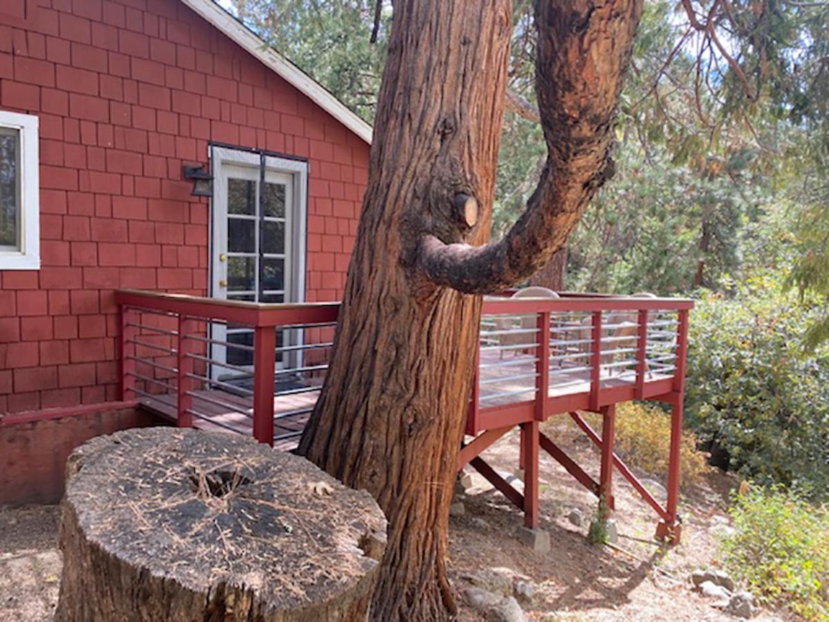 Silver Pines Lodge Idyllwild Exterior foto