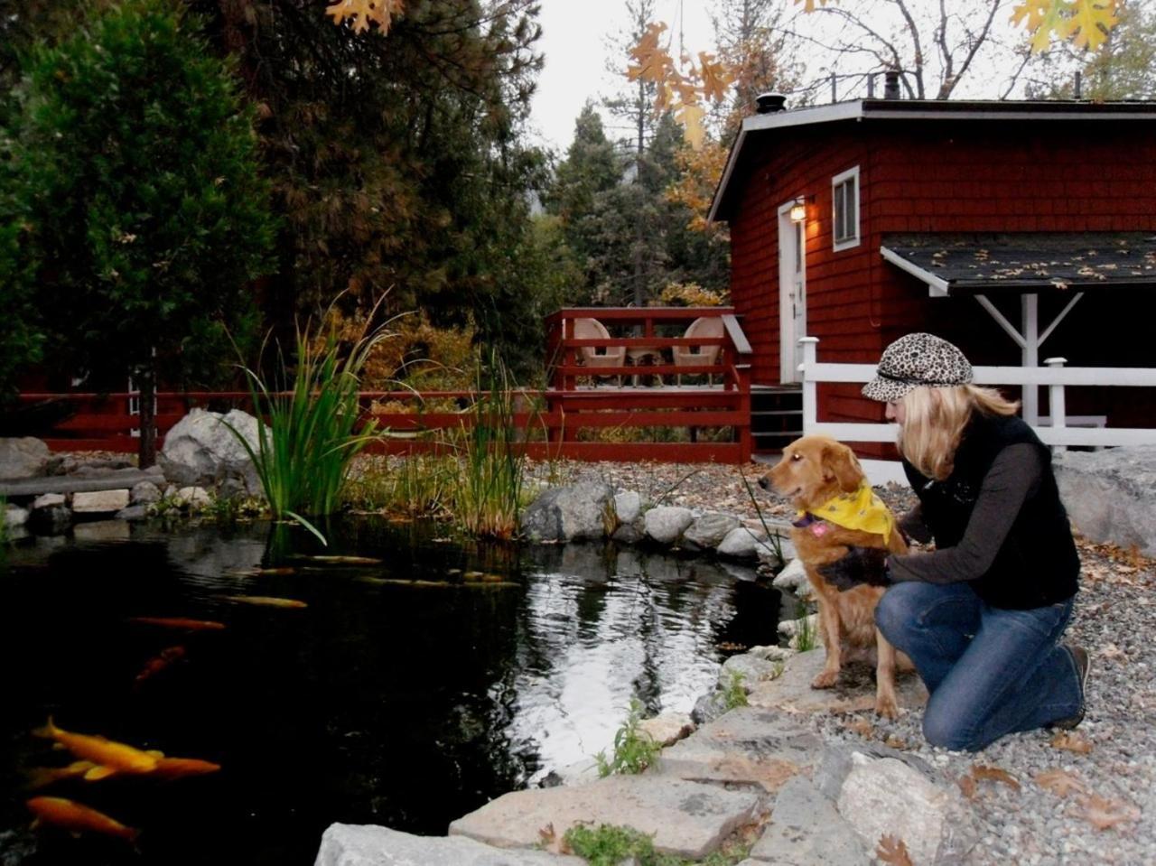 Silver Pines Lodge Idyllwild Exterior foto